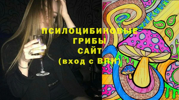 МДПВ Белокуриха